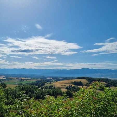 Chambre Double En Pleine Nature "La Clairiere De L'Ange" Peyrins Dış mekan fotoğraf