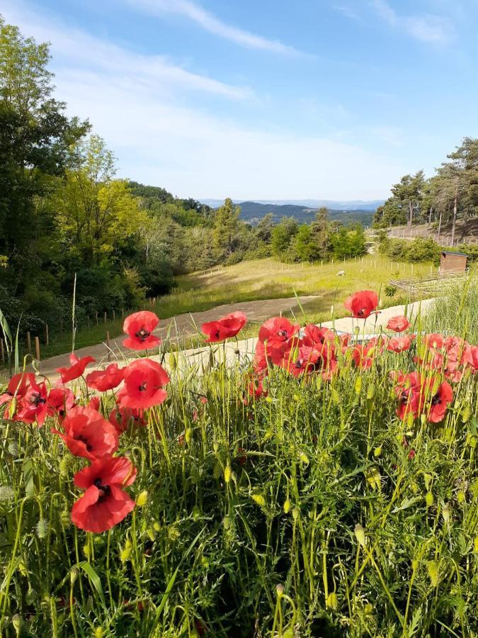 Chambre Double En Pleine Nature "La Clairiere De L'Ange" Peyrins Dış mekan fotoğraf