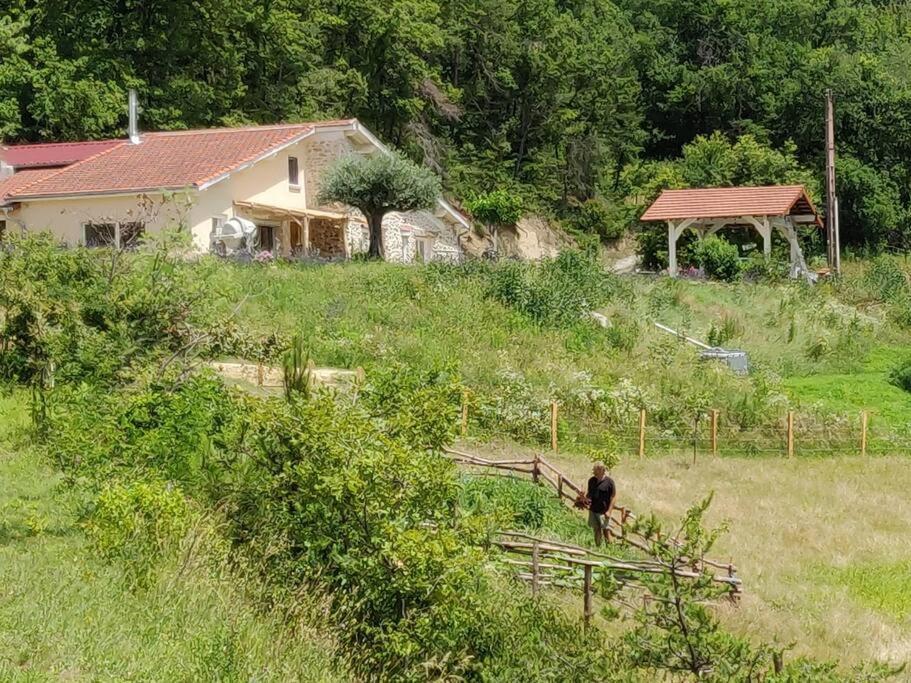 Chambre Double En Pleine Nature "La Clairiere De L'Ange" Peyrins Dış mekan fotoğraf