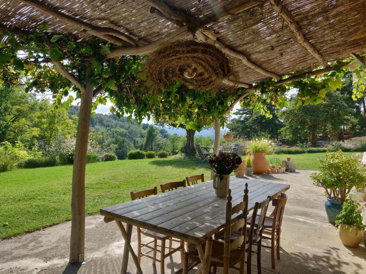 Chambre Double En Pleine Nature "La Clairiere De L'Ange" Peyrins Dış mekan fotoğraf